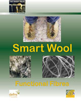 smart wool