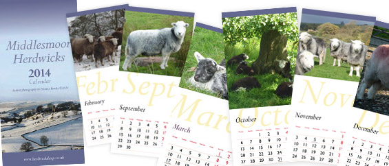 Calendars 2014