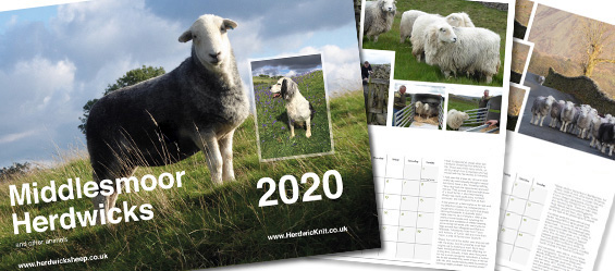 middlemoor herdwick sheep calendar 2020